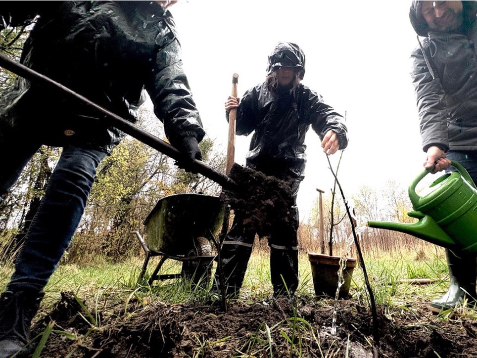 Boomplantdag,Toekomst,Natuur,Tommy Wieringa